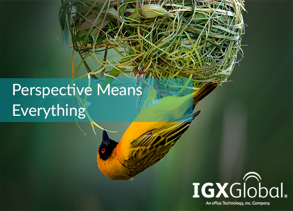 Not All Perspectives Are Created Equal